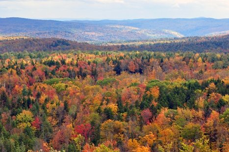 fall_JPG_475x310_q85