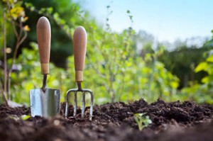bn-spring_vegetable_garden_guide_when_to_plant_opt